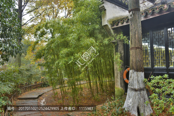 江南園林,竹林小徑
