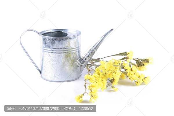 在鐵噴壺中的黃色干花