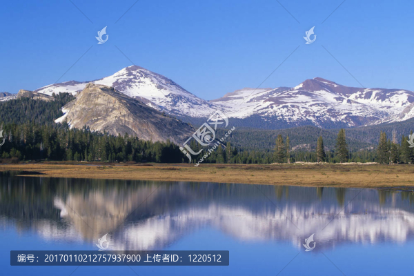 山-匯圖網(wǎng) www.fosd68.com 山