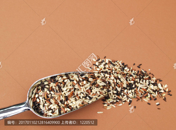 野糙米和糙米