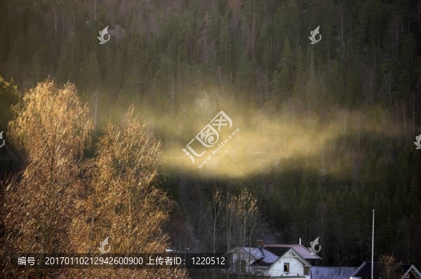 霜霧