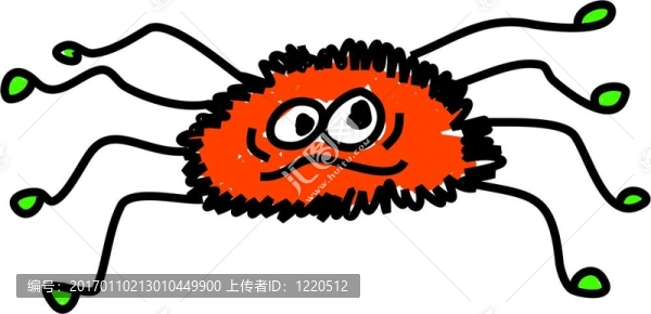 蜘蛛-匯圖網(wǎng) www.fosd68.com 蜘蛛