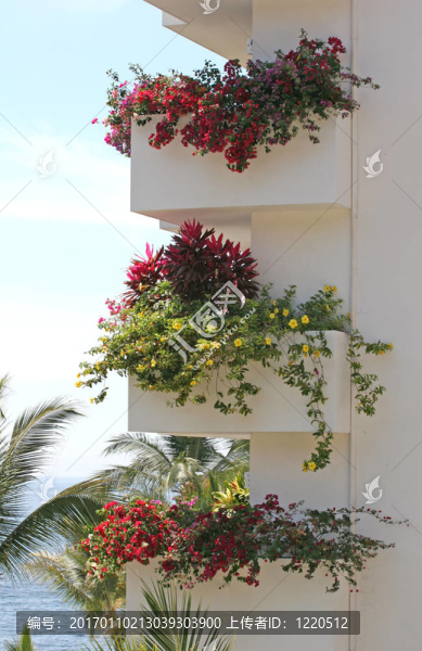 鮮花的陽(yáng)臺(tái)