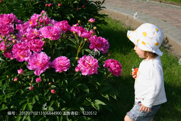 女孩和花