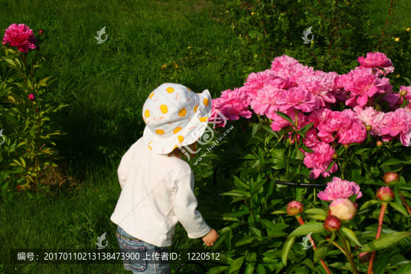 女孩和花