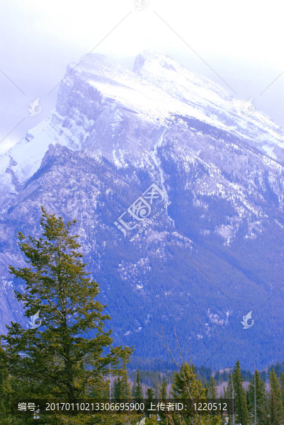 山地景觀