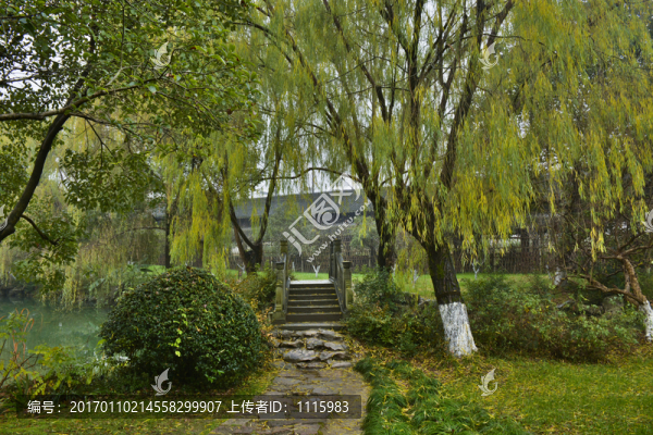 雨天園林