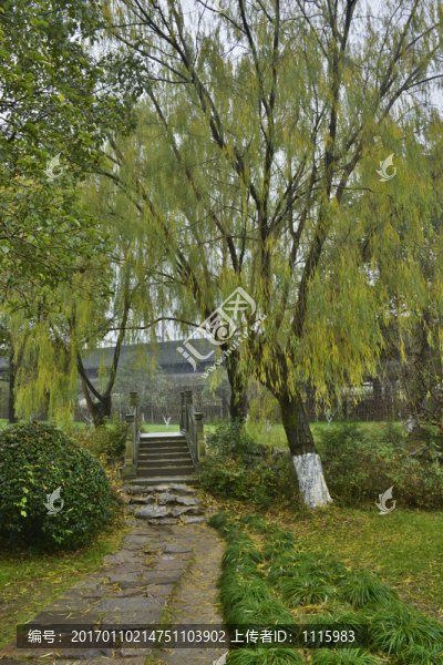 雨天園林