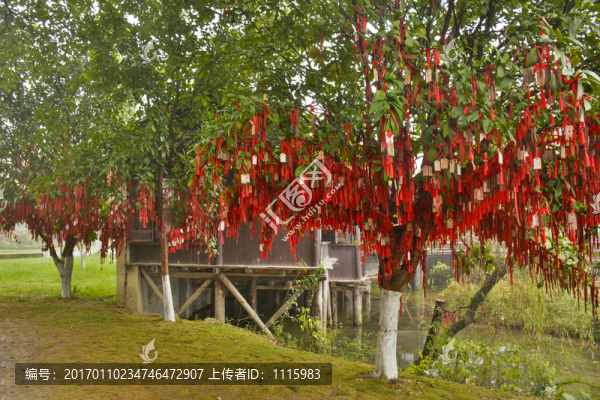 許愿樹(shù)