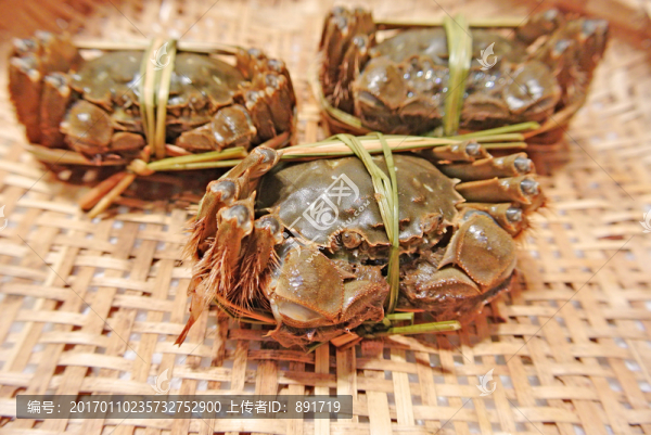 大閘蟹高清,大閘蟹特寫(xiě)