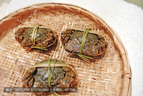 大閘蟹高清,大閘蟹特寫