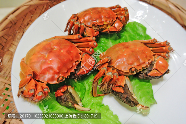 大閘蟹高清,大閘蟹特寫-匯圖網(wǎng) www.fosd68.com 大閘蟹高清,大閘蟹特寫