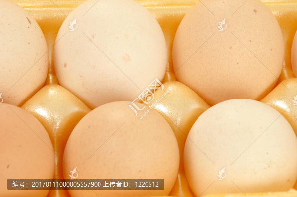 雞蛋