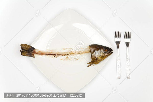 吃魚