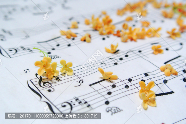 桂花素材,桂花特寫