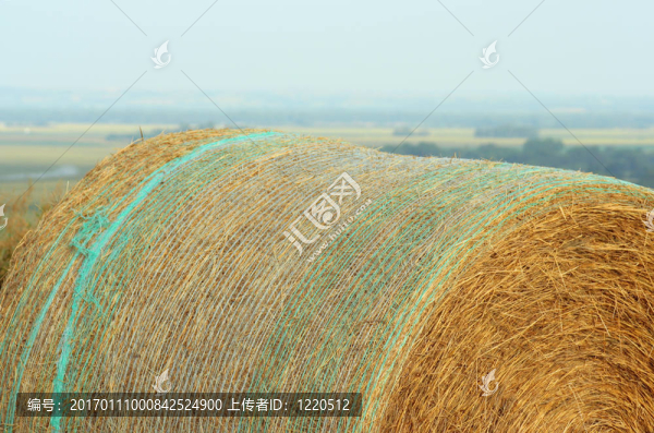 帶網(wǎng)圓捆