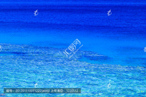 海面