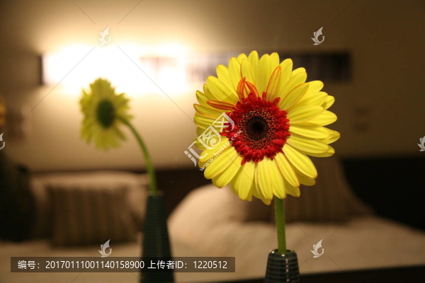 酒店房間里的花