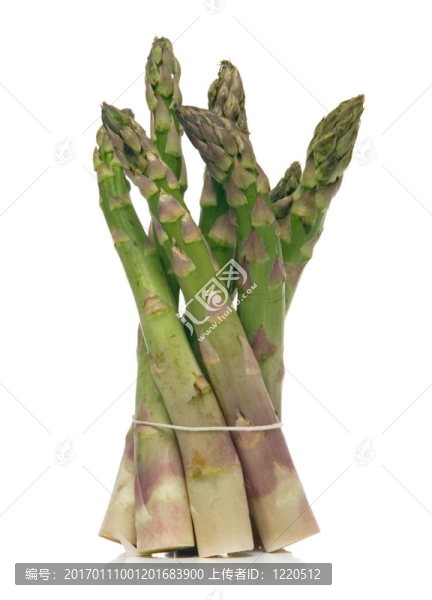 蘆筍