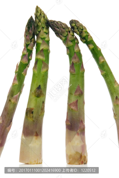 蘆筍