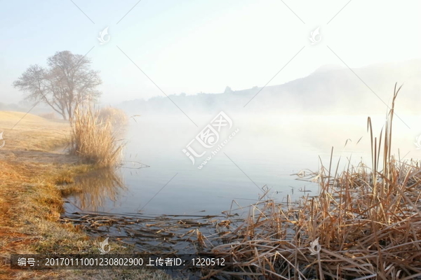 霧之湖