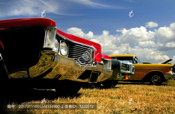 肌肉車