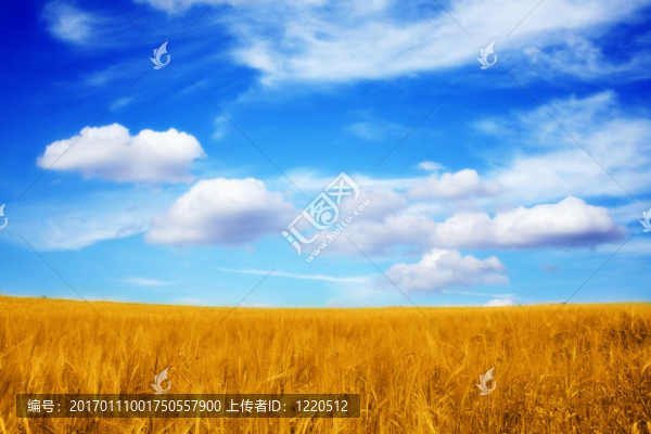 美麗的風(fēng)景
