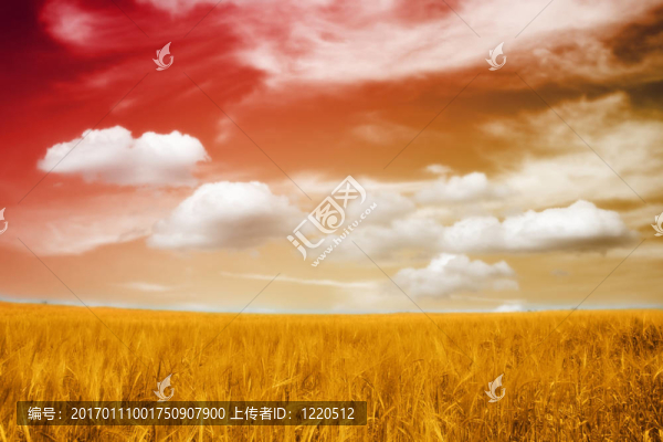 美麗的風(fēng)景