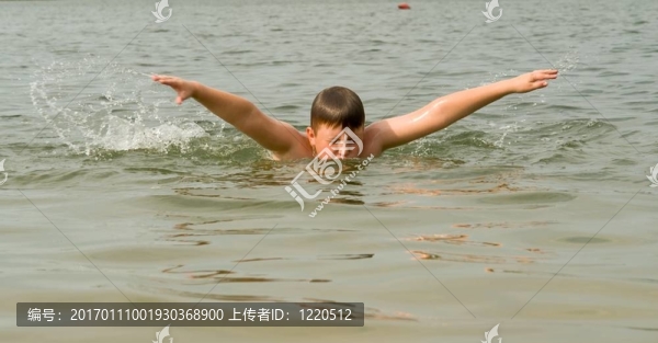 蝴蝶strokern