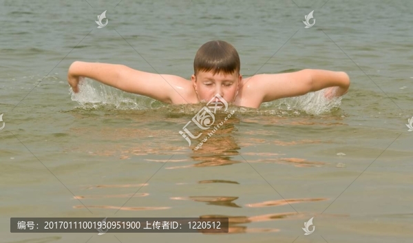 蝶泳
