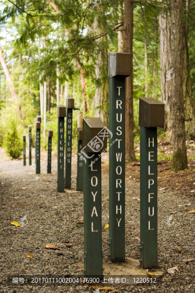 忠誠可靠的幫助