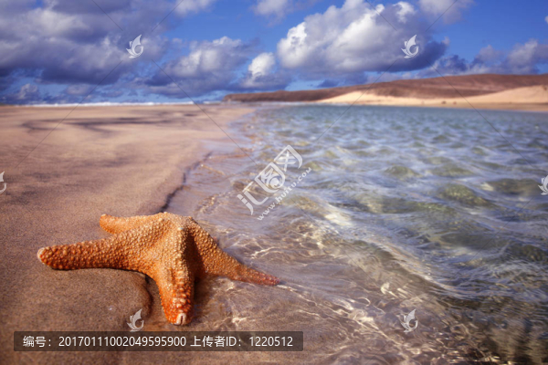 海星浮動(dòng)