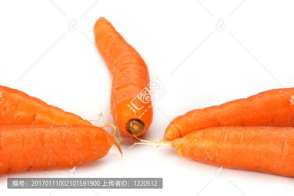 五胡蘿卜