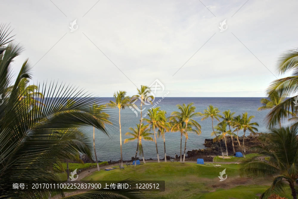 夏威夷天堂海灘
