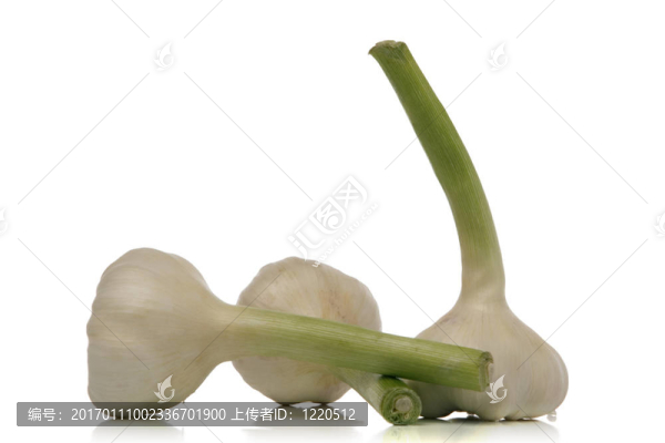 大蒜-匯圖網(wǎng) www.fosd68.com 大蒜