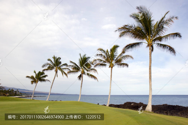 夏威夷的科納島火山海岸