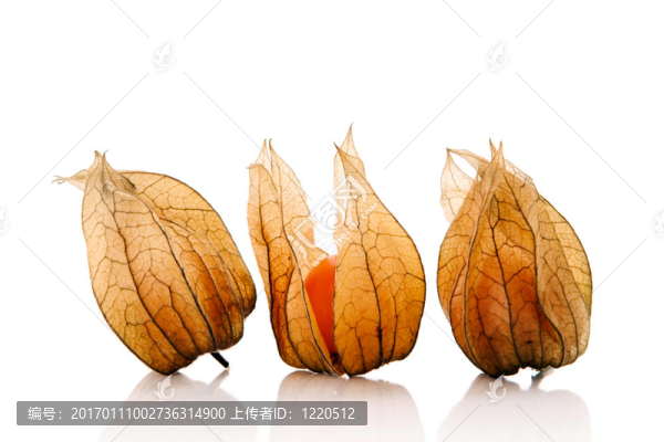 酸漿