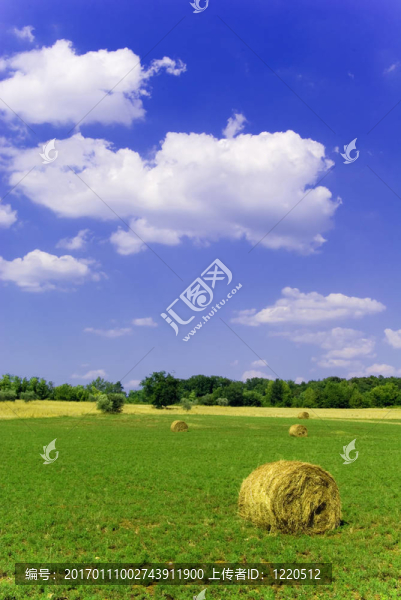 美麗的鄉(xiāng)村