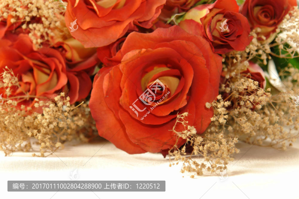 玫瑰花束特寫