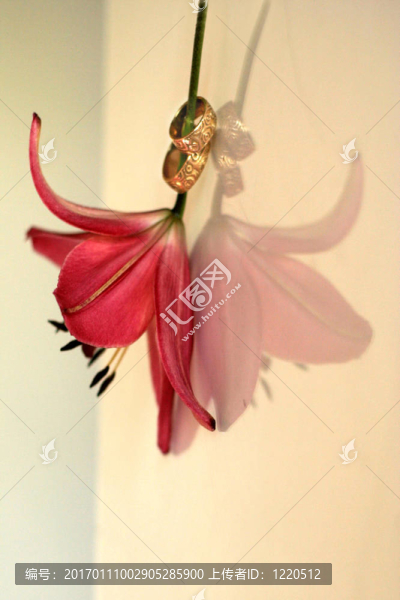 紅百合和結婚戒指
