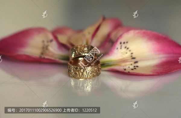 環(huán)和花瓣