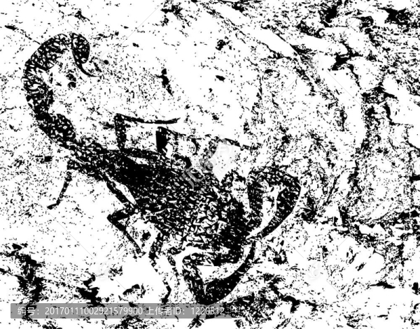 蹩腳的蝎子-匯圖網(wǎng) www.fosd68.com 蹩腳的蝎子