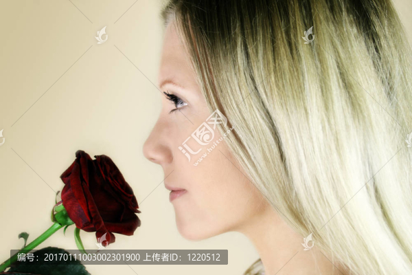 紅玫瑰