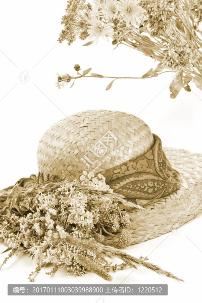 稻草帽和田野花
