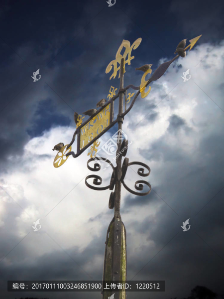 風(fēng)向標的暴風(fēng)雨