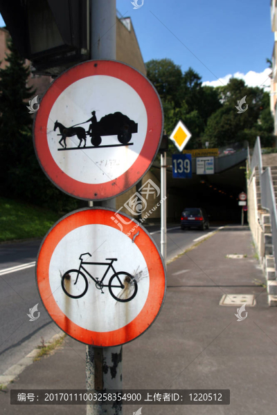 沒有自行車沒有教練-匯圖網(wǎng) www.fosd68.com 沒有自行車沒有教練