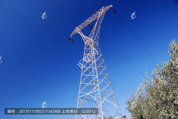 電源線