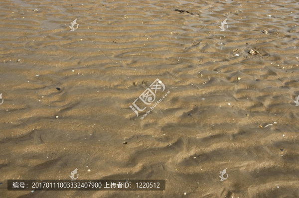 沙紋