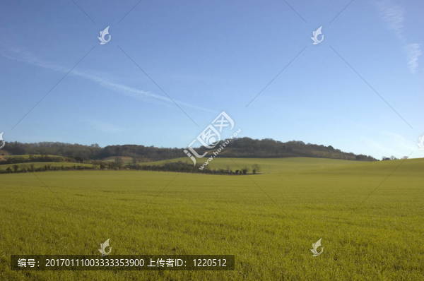 農(nóng)田