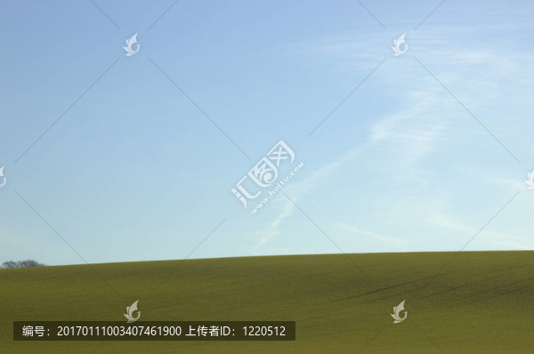 綠色的田野